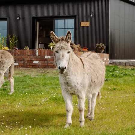 Tackle At Angliham Estate Σπίτι διακοπών Kilroghter