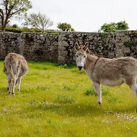 Tackle At Angliham Estate *