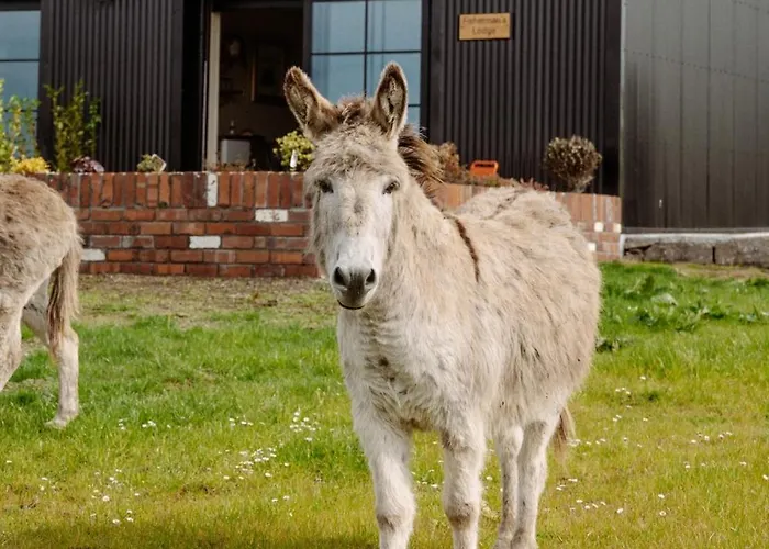 Tackle At Angliham Estate 펜션 Kilroghter