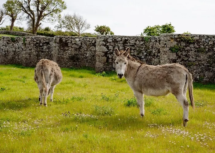 Tackle At Angliham Estate *